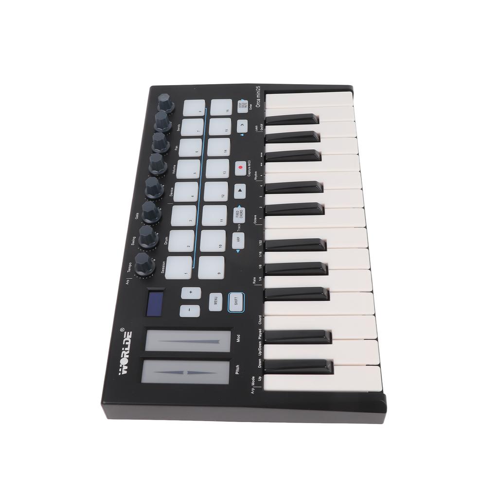 Portable 25 Key USB MIDI Keyboard Controller with 16 RGB Backlit Trigger Pads 8 Assignable Control Knobs
