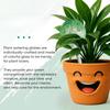 6pcs Plant Watering Globes - Small Glass Self Watering Bulbs Up To 5 Days of Irrigation - for Indoor & Outdoor Plants