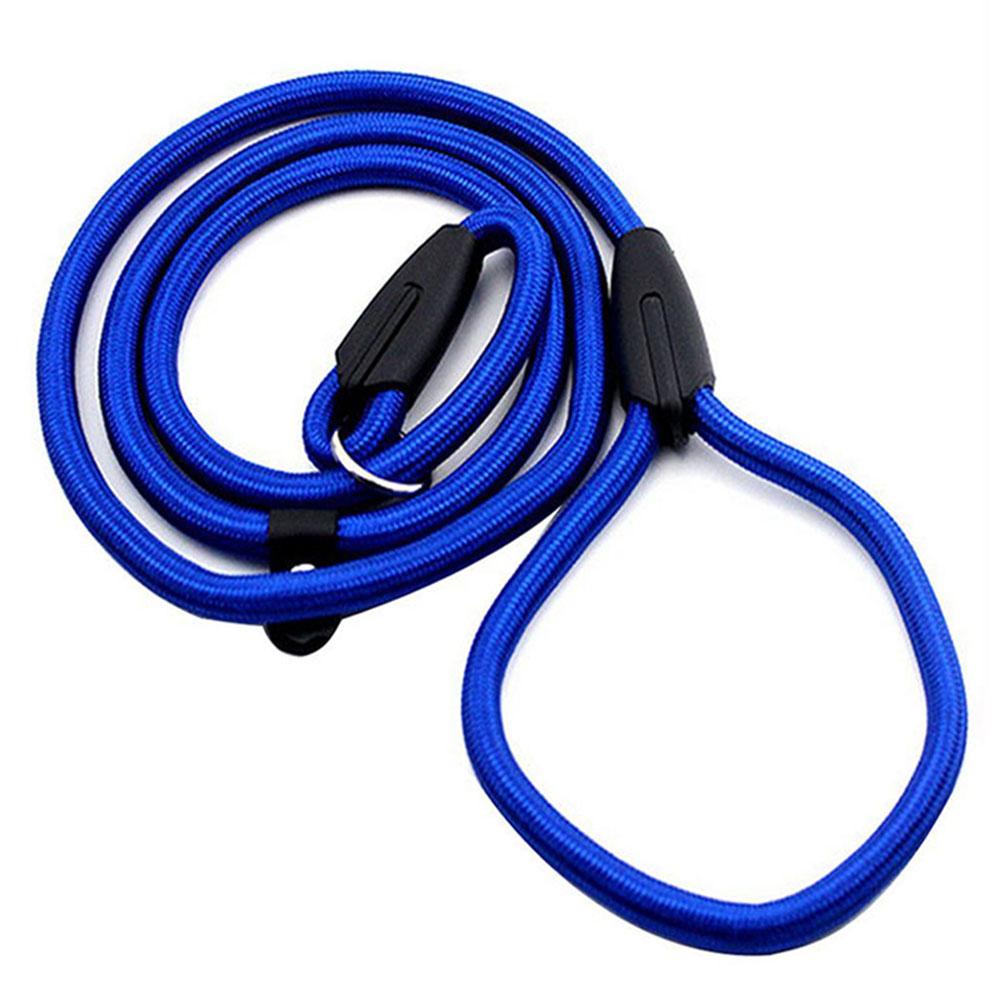 Slip Lead Dog Leash for Puppy Pet Small Dogs Training and Walking Nylon Rope Leash Anti-Choking P-sharped Dog Slip Chains Collar