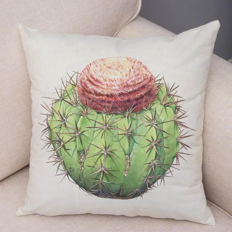 Watercolor Succulents Decorative Pillowcase Office Living Room Car Ornaments Home Pillowcase