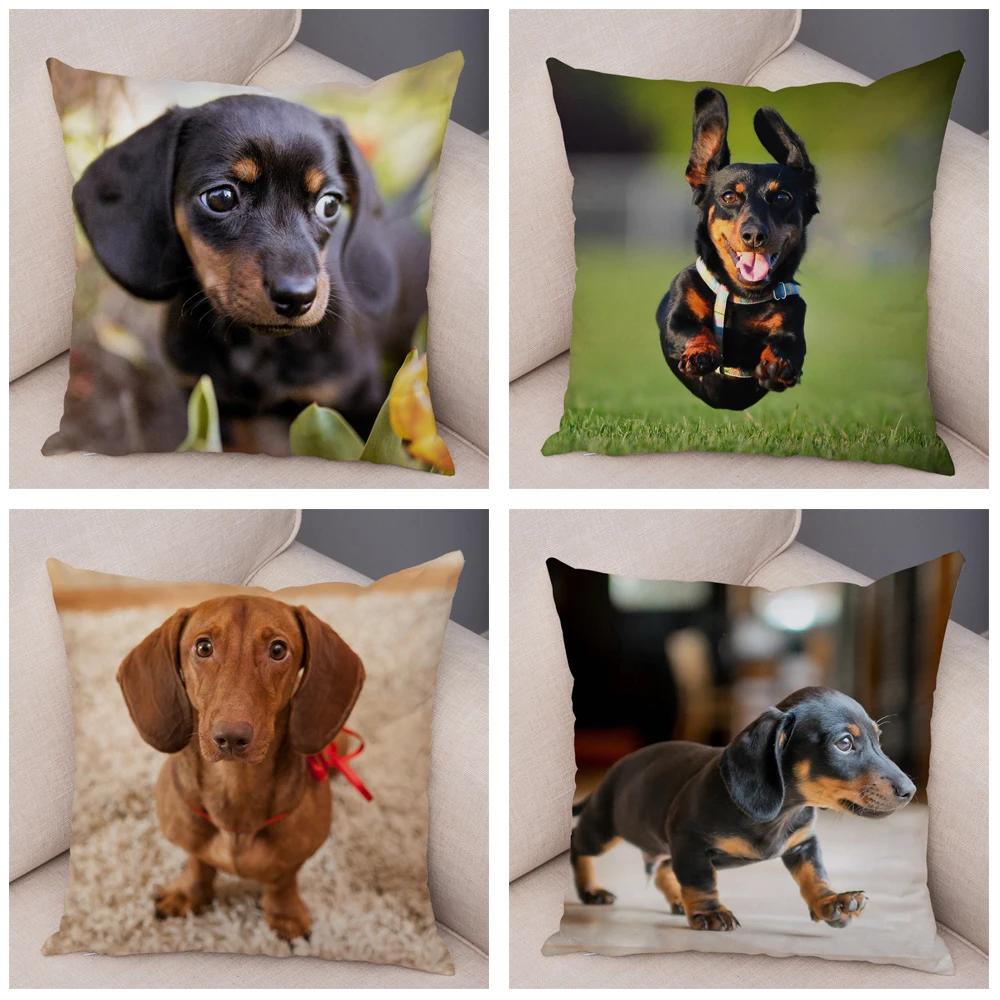 Mini Dackel Hund Kissenbezug Dekor Haustier Tier Kissenbezüge Superweicher Plüsch Kissenbezug für Sofa Zuhause Kinderzimmer 45x45cm