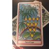 The Herbal Tarot Cards and PDF Guidance Divination Deck Entertainment Parties Board Game