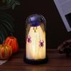 Yousheng Halloween Ghost Decor Light Up Ghost in Glass Cloche with Wood Base Cute Ghost Night Light Decoration for Table Shelf Fireplace Room Decor