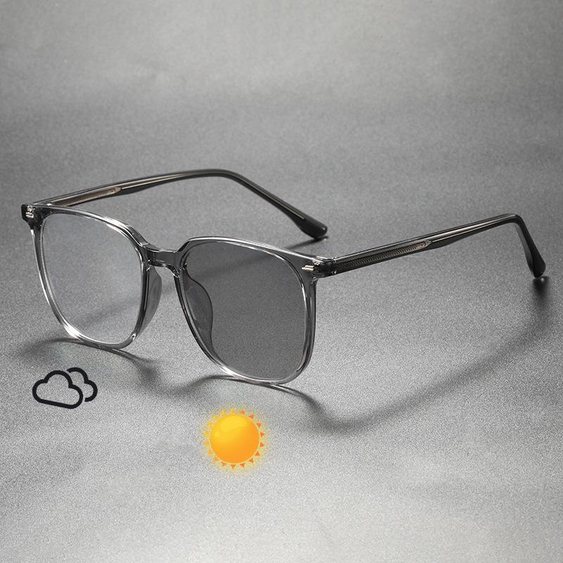

Trendy Photochromic Large Frame Sunglasses WM86179