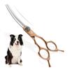 6.5 Inch, Semi-Golden Fish Bone Curved Tooth Scissors, Curved Scissors Pet Trimming Scissors, Thin Scissors, Curved Tooth Scissors