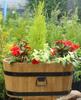 Wooden flowerpot 60X37XH31 flower stand K. OAK