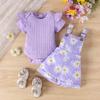 Toddler Girl Short Sleeve Ribbed Top with Ruffle Sleeves and Floral Print Overall Shorts Two-Piece Set for Baby Girls