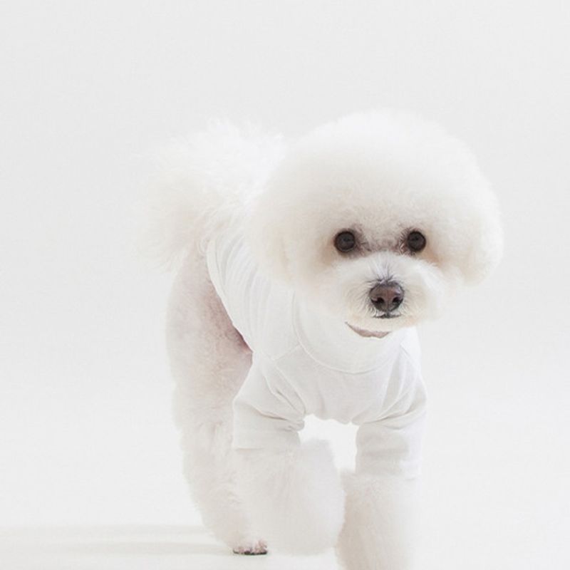 foreverybari turtleneck t-shirt (white)