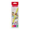 Case of 6 Colored Felt-tip Pens Bruynzeel Neon Assortment