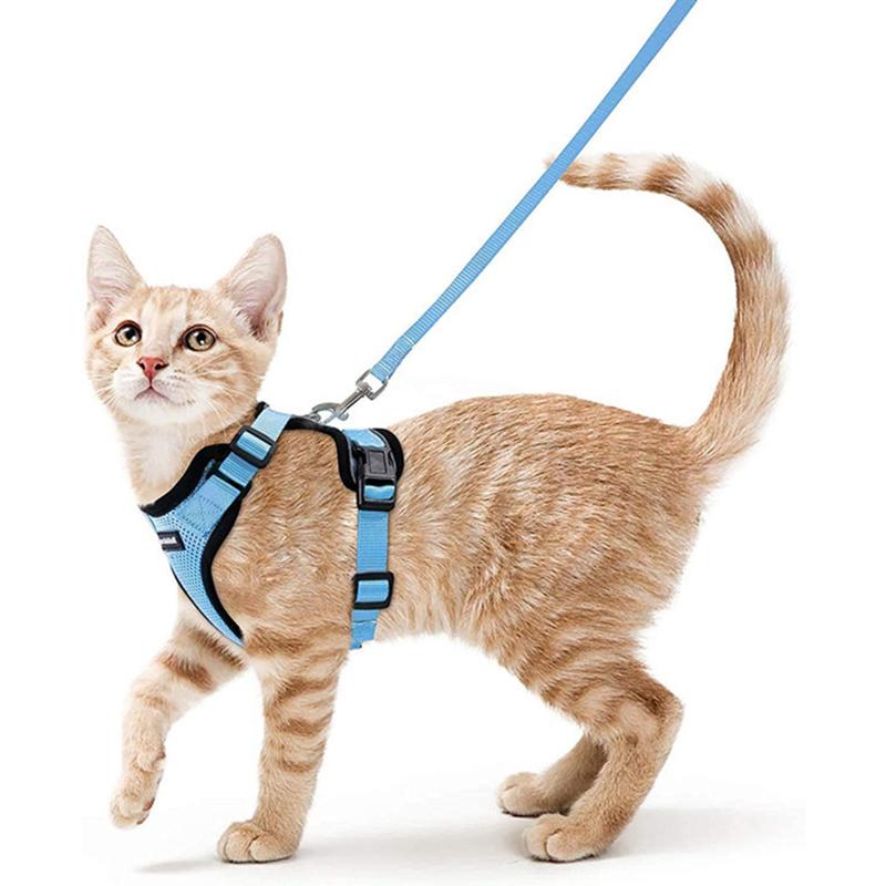 Welpen-Mesh-Set für kleine Katzen, Geschirr und Leine, verstellbare Weste, fluchtsicher für Haustier, Kätzchen, einfache Kontrolle, reflektierendes Hundegeschirr