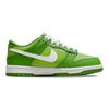 Nike Tenisi Dunk Low GS Chlorophyll pentru copii, verde închis-alb clorofilă DH9765-301