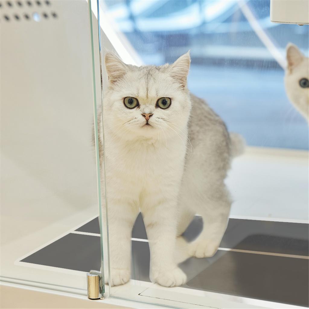 EU/US 5W/7W/14W/20W/28W/35W/45W Reptiles Heat Mat Adjustable Temperature Controller for Terrarium Climbing Pet Heating Warm Pads