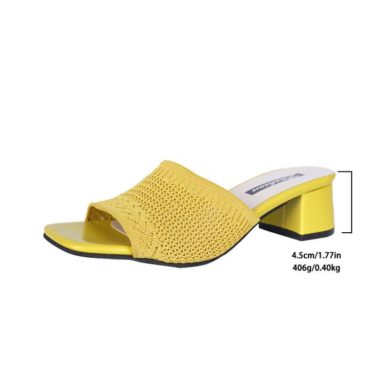 Medium Heel Cool Slippers Summer New Fly-woven One-word Cool Slippers