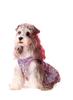Dog Dresses for Small Dogs Party Sequins Velvet Dress for Dogs Girl Puppy Birthday Wedding Christmas Outfit Soft Pet Apparel Cute Chihuahua