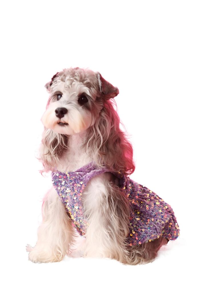 Dog Dresses for Small Dogs Party Sequins Velvet Dress for Dogs Girl Puppy Birthday Wedding Christmas Outfit Soft Pet Apparel Cute Chihuahua