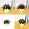 Plant Simulation Pinecone Potted Living Room Desktop Decoration Green Plants