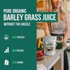 250g Premium Barley Grass Powder Green Tea Natural Organic Barley Grass Powder