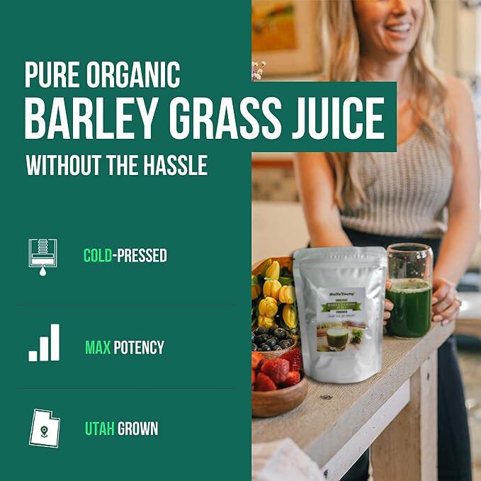 250g Premium Barley Grass Powder Green Tea Natural Organic Barley Grass Powder