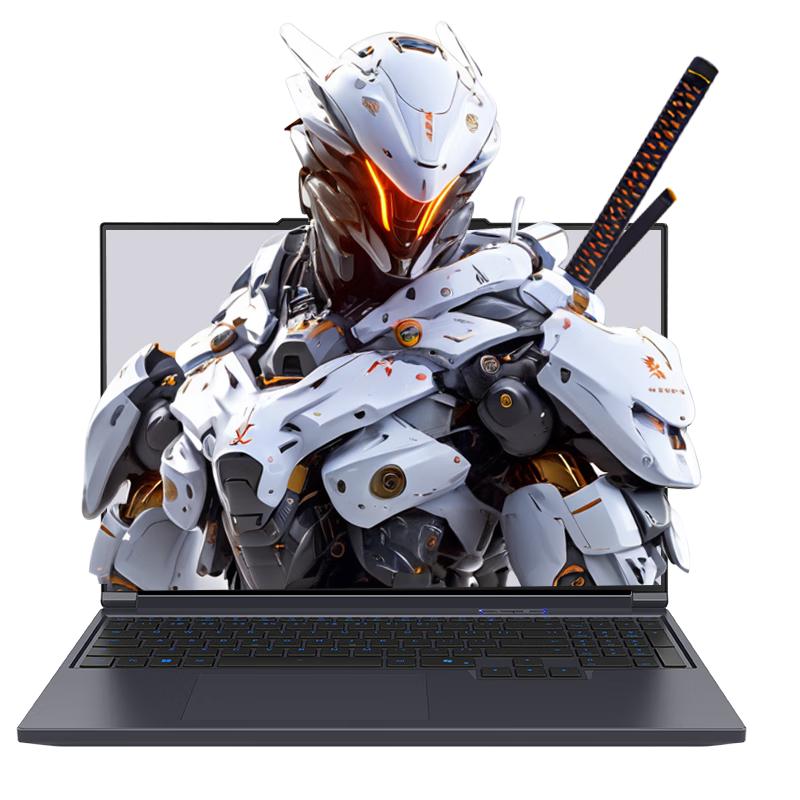 

Ігрові ноутбуки MechRevo серії Aurora 16 дюймів (версія CN) i5-14450HX/16G/512G