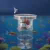 Suction Cup Floating Hatching Box Semi-transparent Aquarium Breeder Feeder  Aquarium