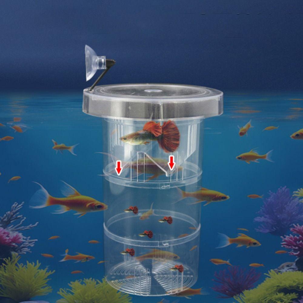 Suction Cup Floating Hatching Box Semi-transparent Aquarium Breeder Feeder  Aquarium