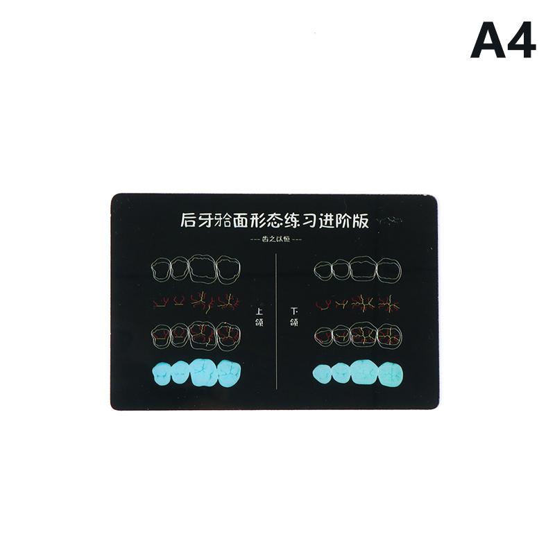 

Стоматологическая композитная смола Высококачественный пломбировочный морфологический практический модель Студенческая тренировка Стоматологические аксессуары A4