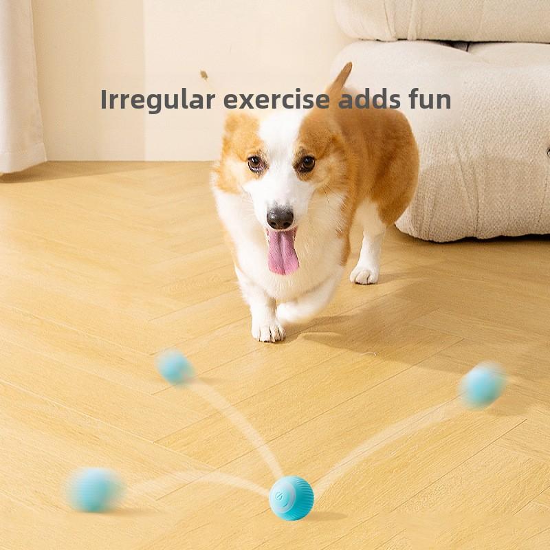 Zabawka dla psa zapobiegająca gryzieniu Automatyczna piłka Self-Hi na nudę Spacer z psem Piłka dla zwierząt Teddy Pomeranian Inteligentny teaser dla psa