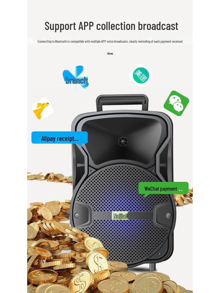 12" Portable Bluetooth Speaker with High-Power Battery for Outdoor Events & Dance Promotions