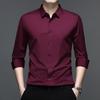Mens Casual Long Sleeve Seamless Solid Turn Down Collar Regular Fit Shirt
