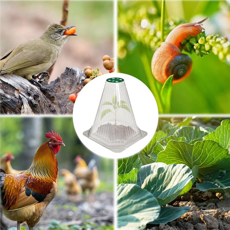 10PCS Transparent Plant Protection Cover Seedlings Grow Cover Adjustable Ventilation Lid Prevents Snail Insect Proof Protection
