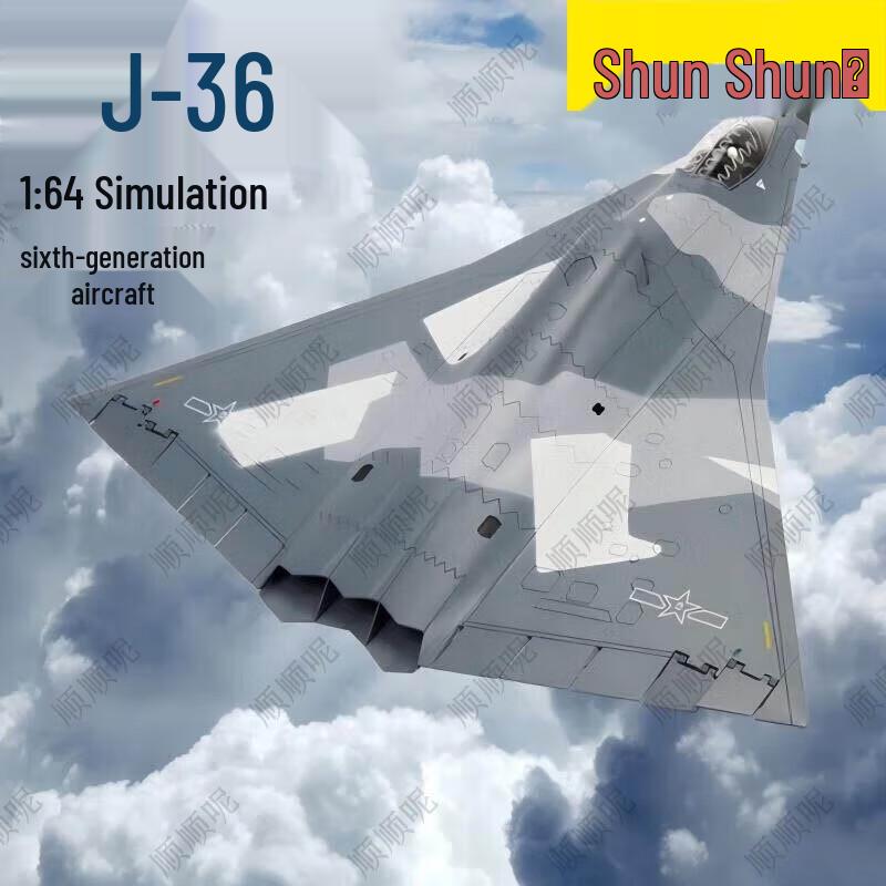 Stealth Fighter Aircraft Model