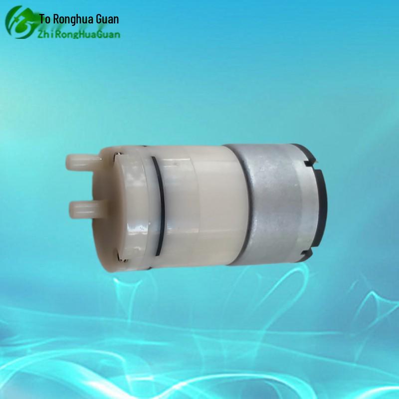 Ronghua Guan 520-03PM: Silent Miniature Vacuum Pump (6V, 12V, 24V)