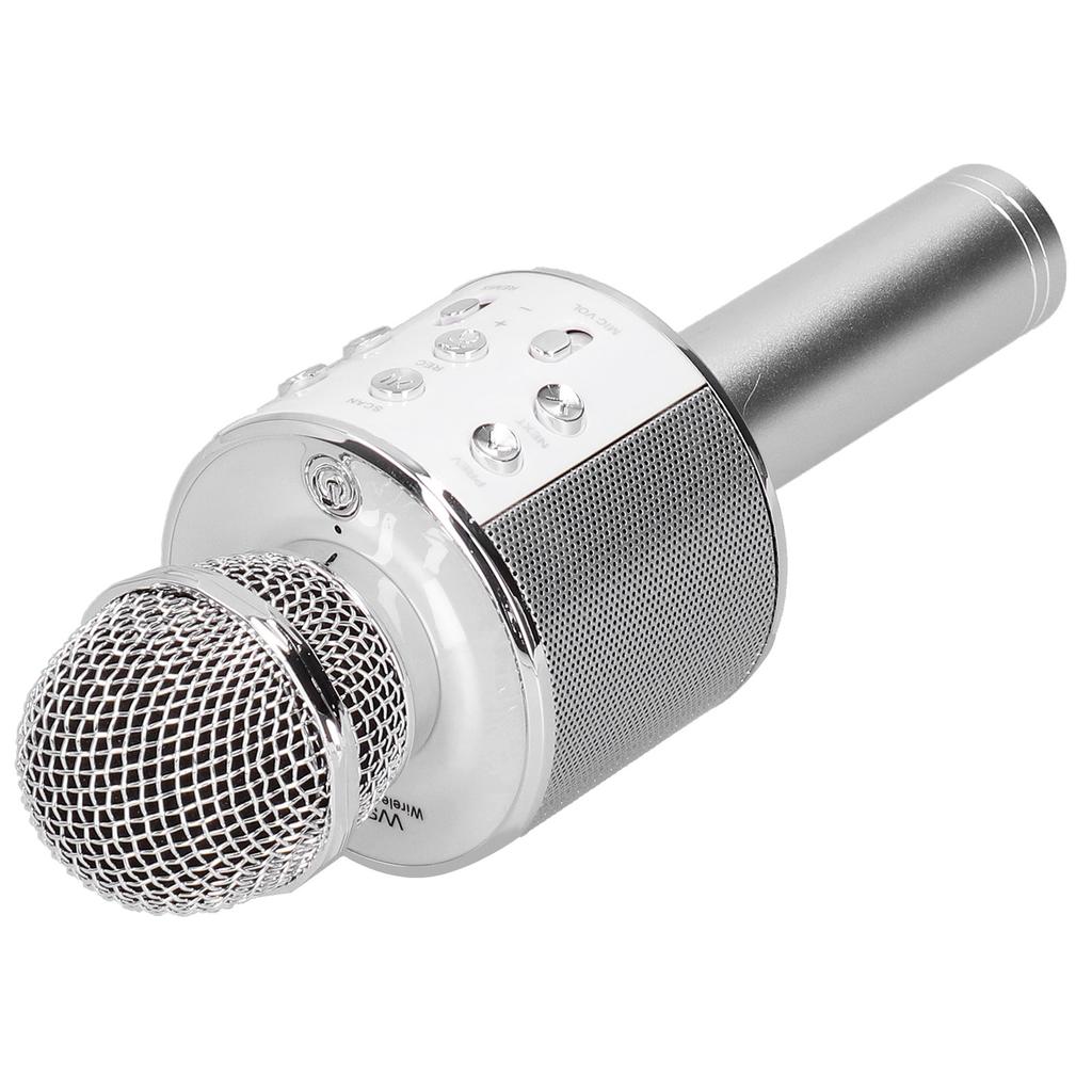 Wireless Microphone Bluetooth Recording Handheld Portable for Party Wedding Meeting