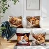 Textile pentru bucătărie și sufragerie – Huse pentru perne