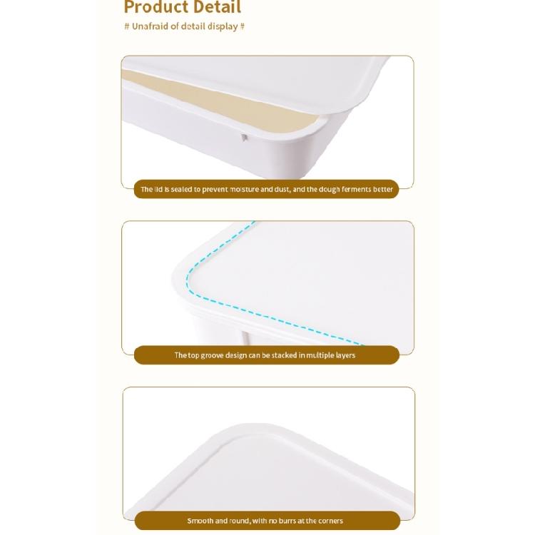 Rapid Fermentation Dough Box Featuring PE Materials for Optimal Result Clear Designs and Airtights Seal Domestic
