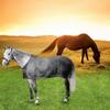 Adjustable Horse Fly Sheet Wear-Resistant Equine Mesh Vest Horse Belly Protect Cover  Horse Riding