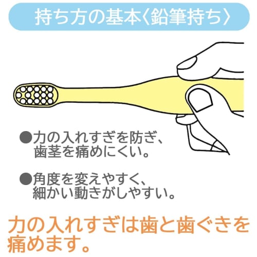 Skater Toothbrush for Kindergarteners 3-5 Years Old Soft Clear 3 Pieces Bread Thief TBCR5T-A
