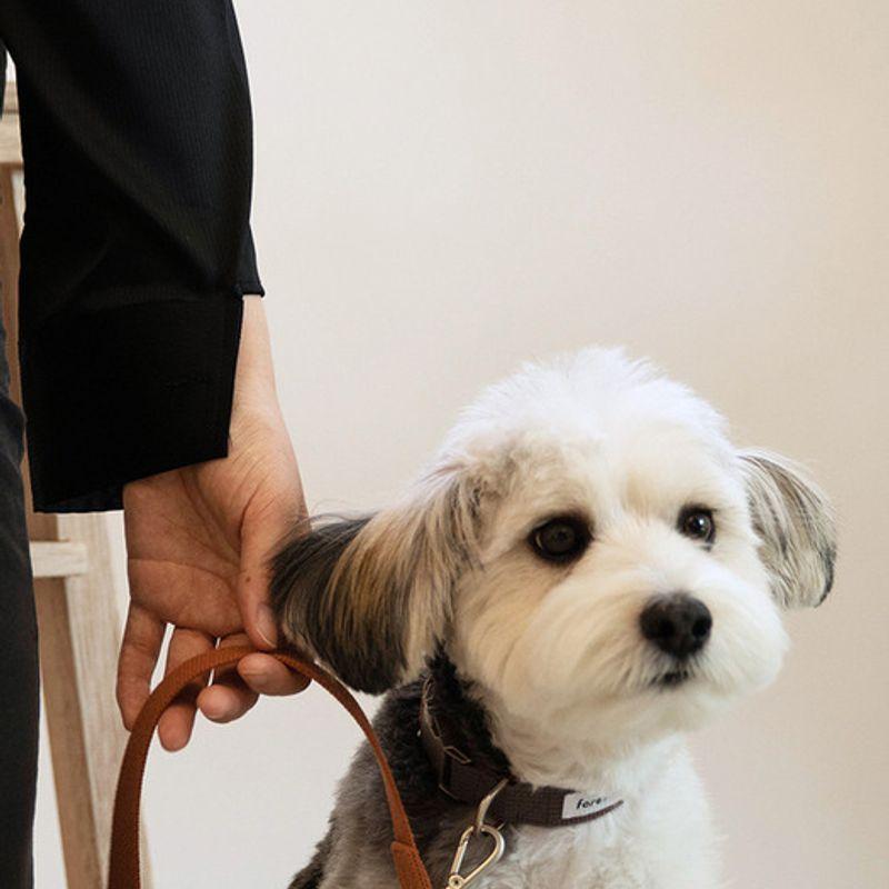 Foreverybari Leine (Holzkohle)