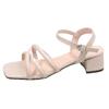 2025 summer new thick heel fairy wind middle heel women's sandals gentle temperament open toe one word buckle belt women's shoes