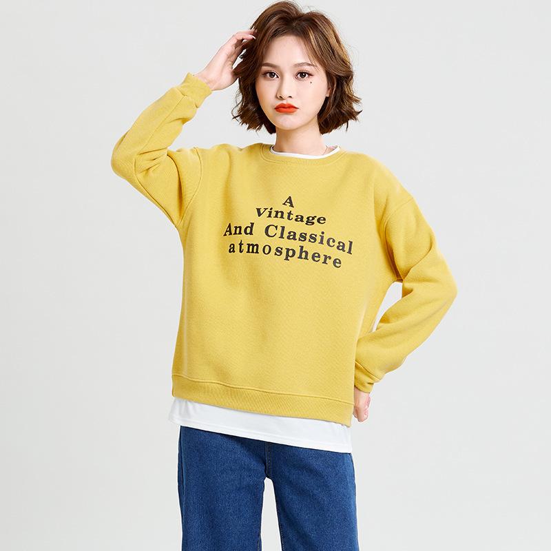 Korean Style Hooded Sweatshirt Women's Casual Loose Niche Women's New Fashion Long-sleeved Jacket