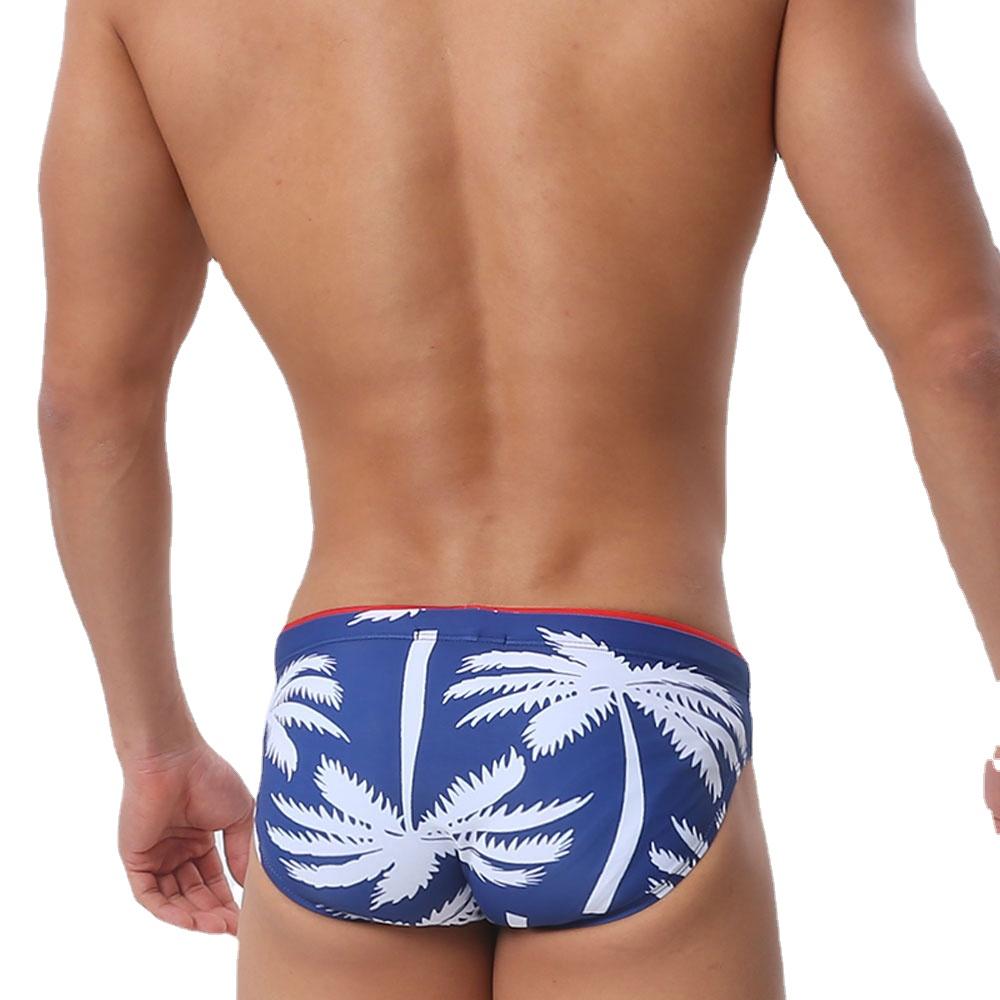 Men's  Fashion Strips Sexy Men's Brief Sexy Printed Swimsuit for Men Surfing Swimwear Low-Rise