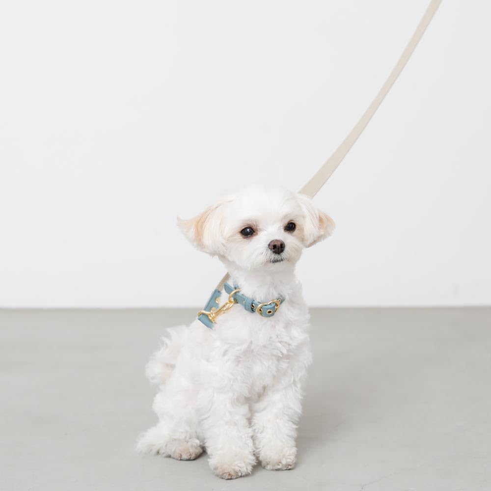 Kožený obojek pro malé psy s přezkou ve tvaru srdce z pravé hovězí kůže, nastavitelný, ideální na procházky a výlety monchéri [Zmenšený obojek] (S/Mocha)