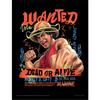 One Piece: Into the Grand Line Monkey D. Luffy Graphic Art Framed Poster