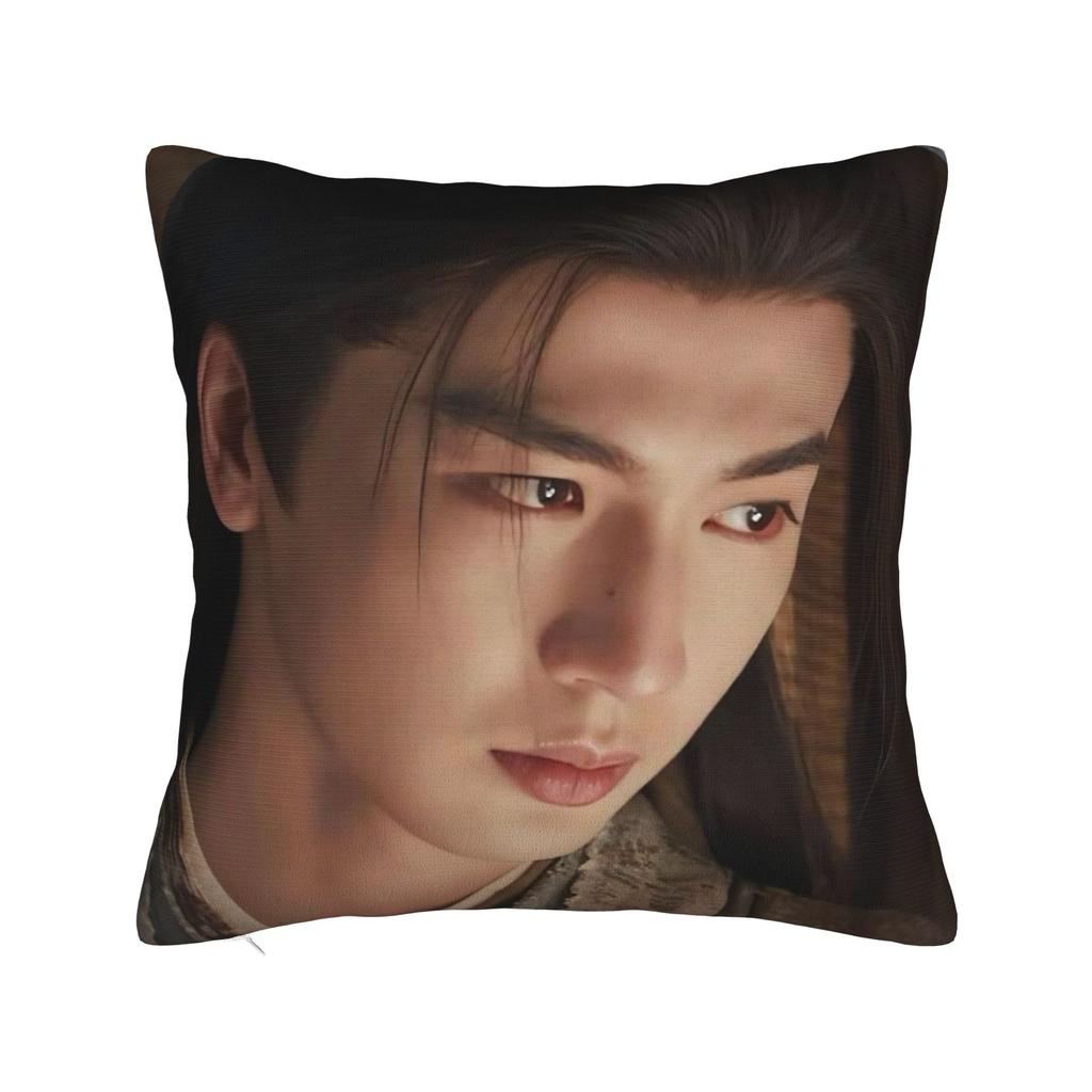 Tv Pursuit Of Jade X-Xie Zheng Z-Zhang Linghe Pillow Cover Print Cushion Cover Retro Trendy Pillow Case For Sofa Home Decor