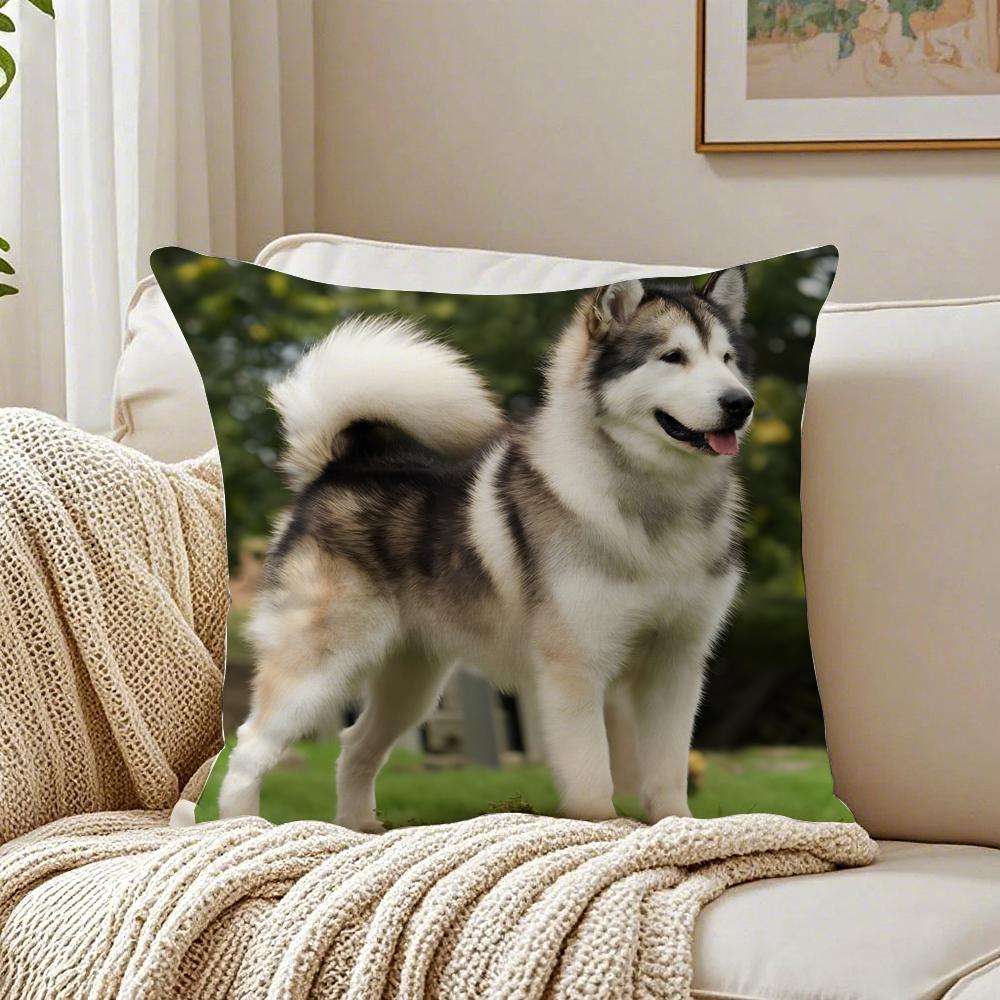 NICE CUTE Pug Dog Cushion Cover Pillowcase Antidustmite Living Room Sofa Decor Cushion Room