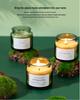 Eco-Friendly Green Glass Soy Wax Scented Candles with Wood Stopper – Ideal Creative Fragrance Souvenirs