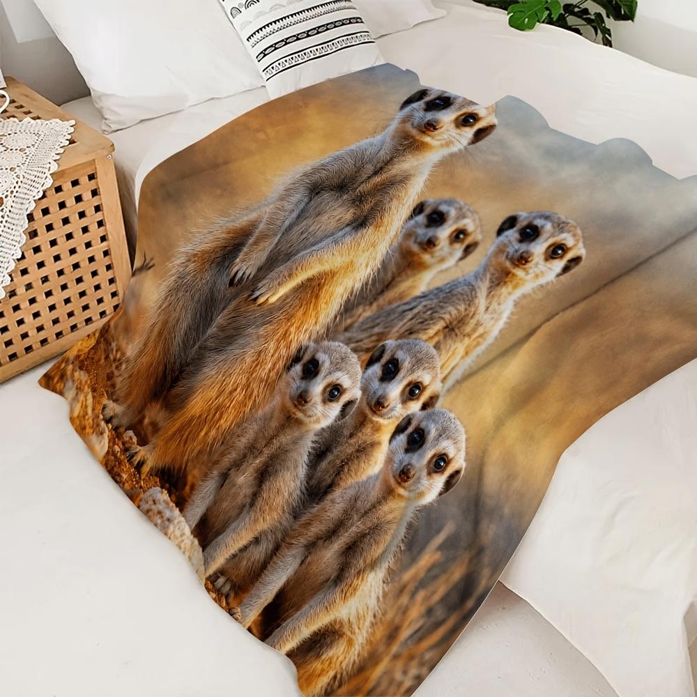 Meerkat Family Desert Landscape Flannel Blanket Ultra Soft Light Warm Multi-scene Throw For Bed Sofa Camping Car Office