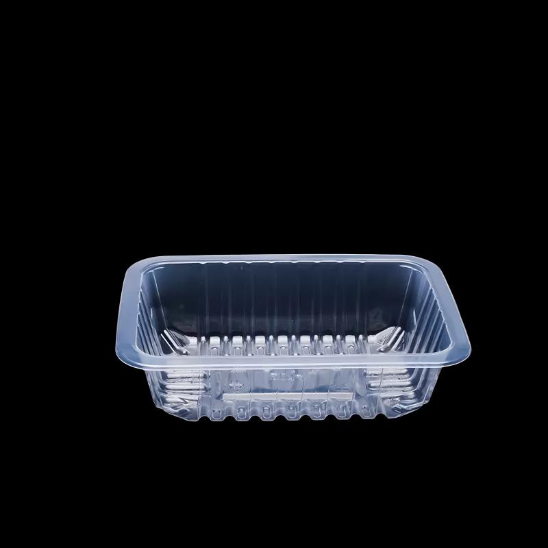 Dairuien Disposable Rectangular Food Trays