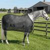 Adjustable Horse Fly Sheet Wear-Resistant Horse Belly Protect Cover  Summer Sun Protection