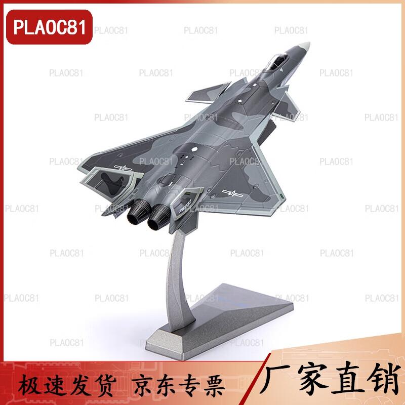 Camouflage J-20 Stealth Fighter Jet Model 1:100